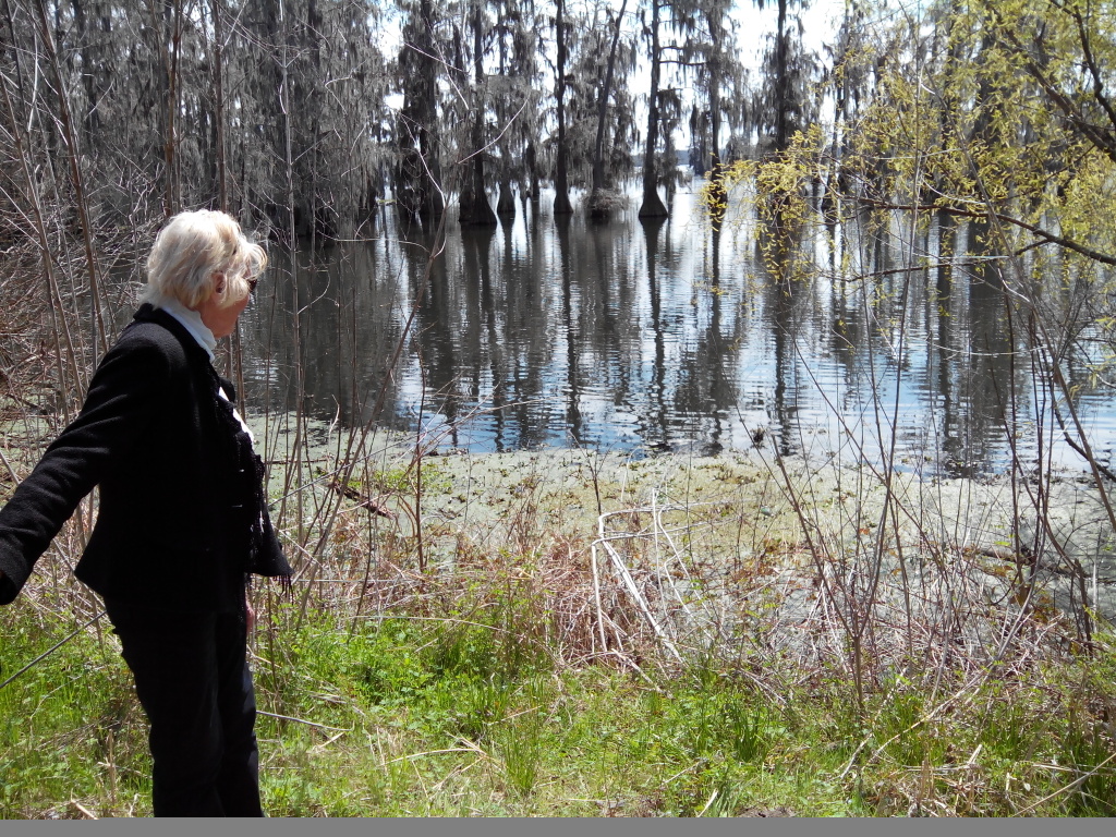 lac martin 3