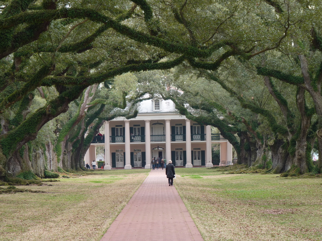oak alley 1