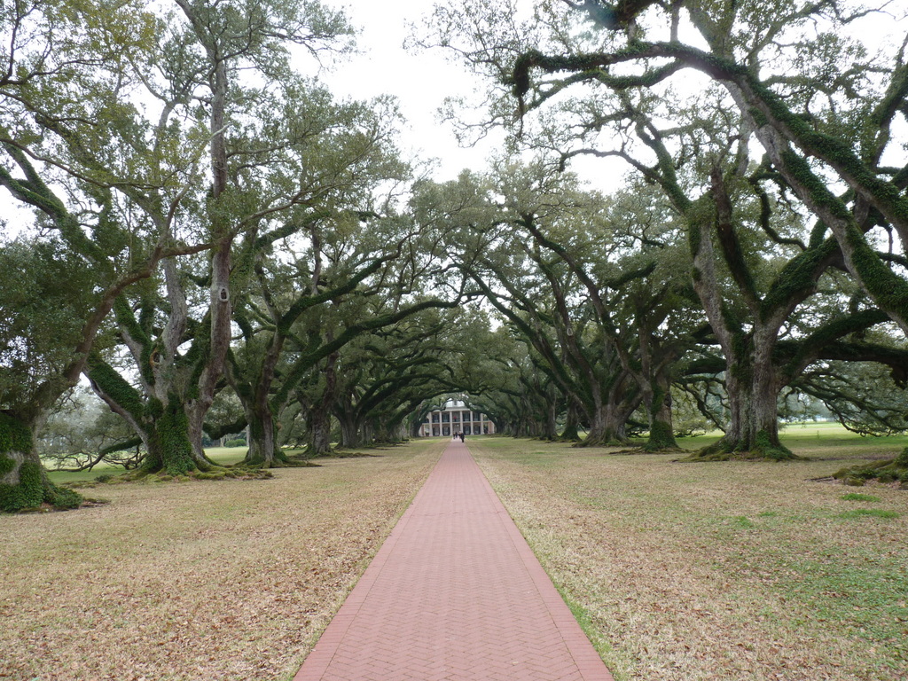 oak alley 2