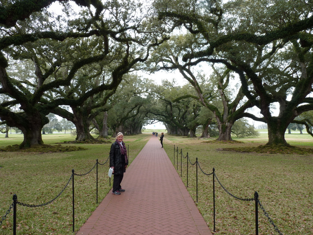 oak alley 7