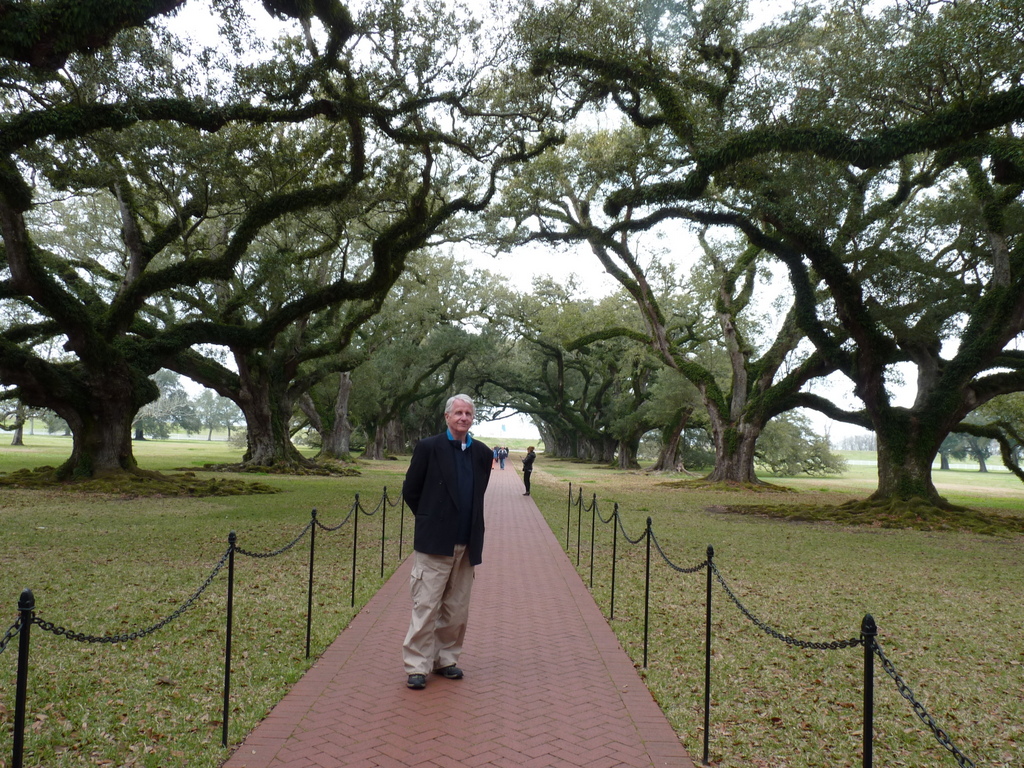 oak alley 6